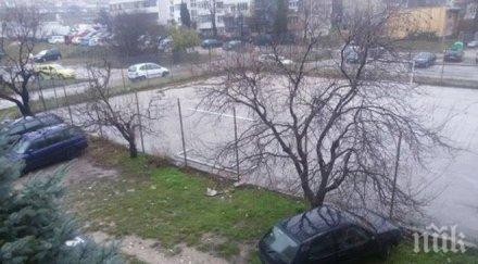 кошмар квартал варна тровят улични животни силна отрова