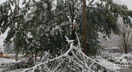 бан петък вали дъжд събота цяла българия снежна