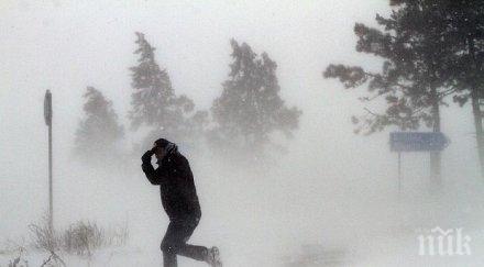 лед скова видинско