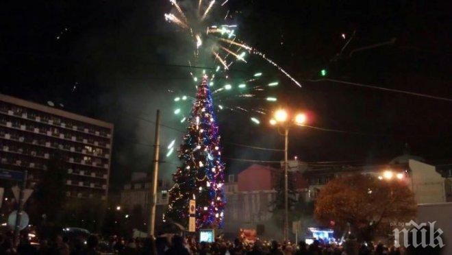 17-метрова елха ще радва жителите на Стара Загора
