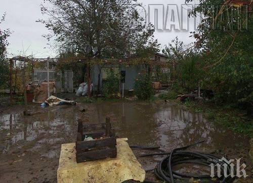 Еваукират местността Черниците край Бургас
