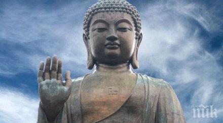 уникално любими цитати буда правят добри