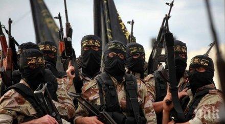 задържаха 135 души подезрения тероризъм саудитска арабия