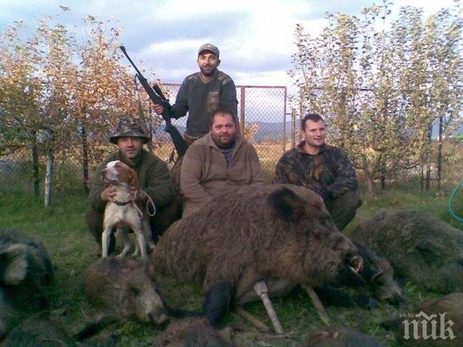 Няма чума по дивите свине в Кюстендилско 