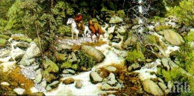 Супертест! Вижте имате ли дарба на психолог