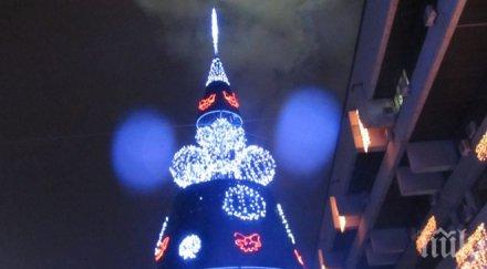 русе запали метровата коледна елха