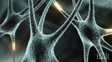 учени постигнали еволюция нежива материя