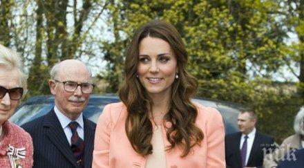 хлапета объркаха кейт мидилътън принцеса дисни