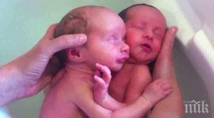 съпругата принца монако роди близнаци