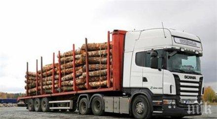 горски жандармерия погват дървената мафия