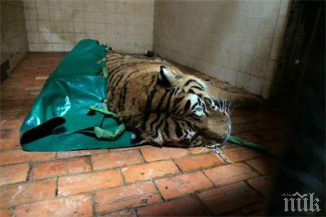 Мърдок има фенклуб след бягството