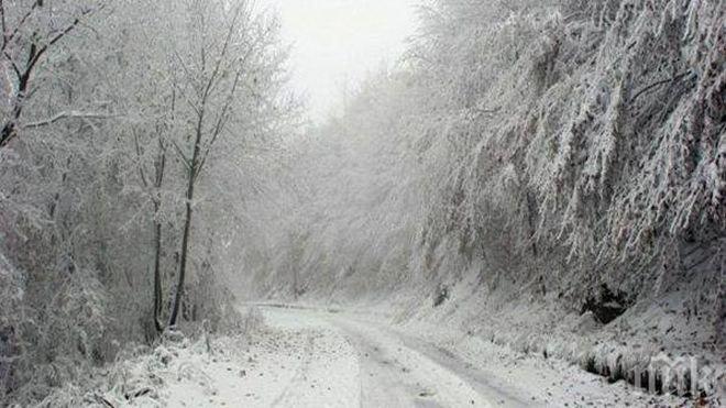 29 сантиметра е падналият сняг в Белоградчик