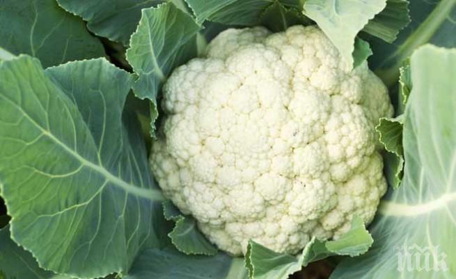 Kръстоцветните зеленчуци борят рака