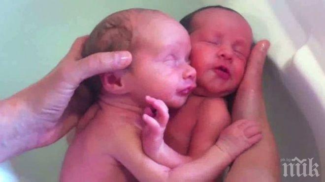 Съпругата на принца на Монако роди близнаци