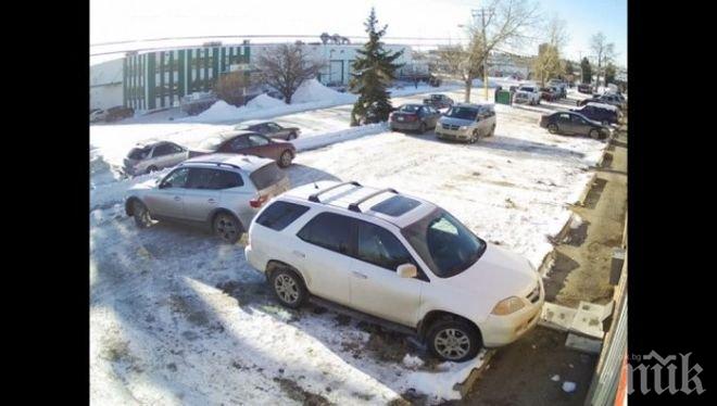 Смях! Това е най-лошият шофьор в света (видео)