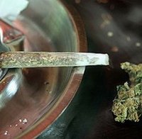 Спипаха общински служител с канабис