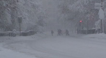 шест села смолянско без ток