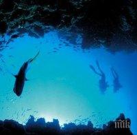 269 000 тона пластмасови отпадъци плават в океаните по света 