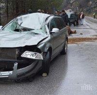 Шок! Шофьор помете три коня, уби ги и оцеля след зверския удар 