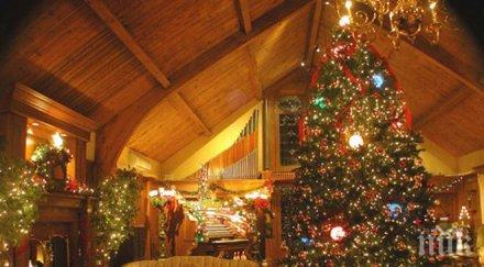 направим коледните снимки добри