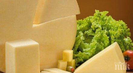 бизнесът кашкавал български продукт