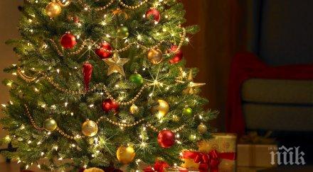 нямам работа пратете дрешки обувки децата