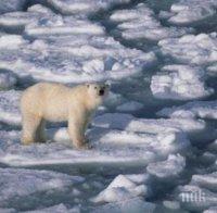 Дания първа е заявила правата си над Северния полюс 