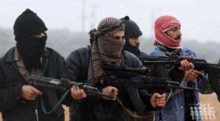 души швейцария отишли джихад