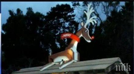 шок откраднаха елена рудолф