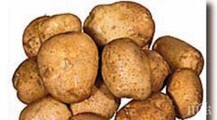 внимание рак картофите