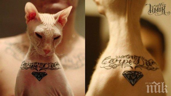 Ню Йорк забранява татуирането на домашни любимци