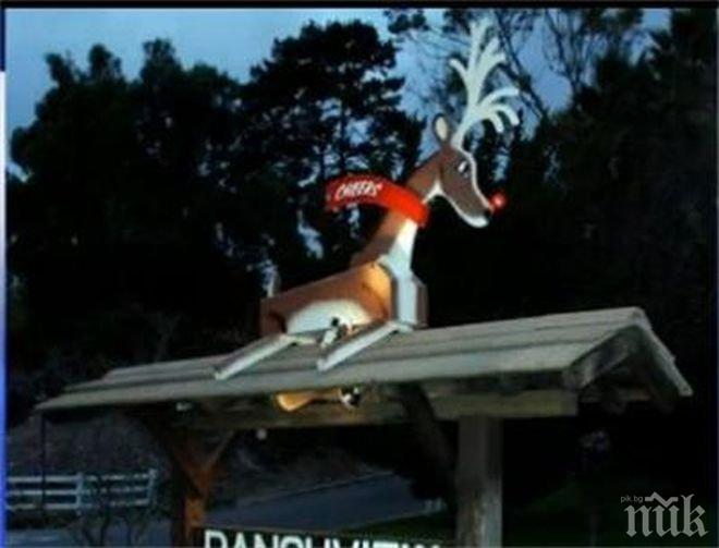 Шок! Откраднаха елена Рудолф