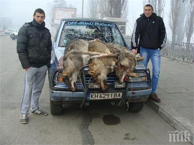 Двама братя повалиха две вълчици и ухажора им	