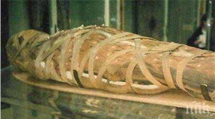 откриха гробище египет млн мумии