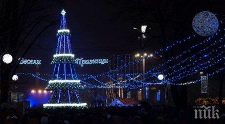 коледна украса бургас номинирана хубава