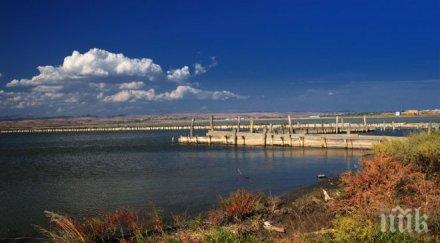 гнездещите птици атанасовско езеро намаляват