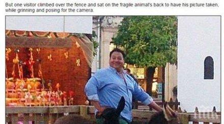 мъж наднормено тегло яхна магаре уби