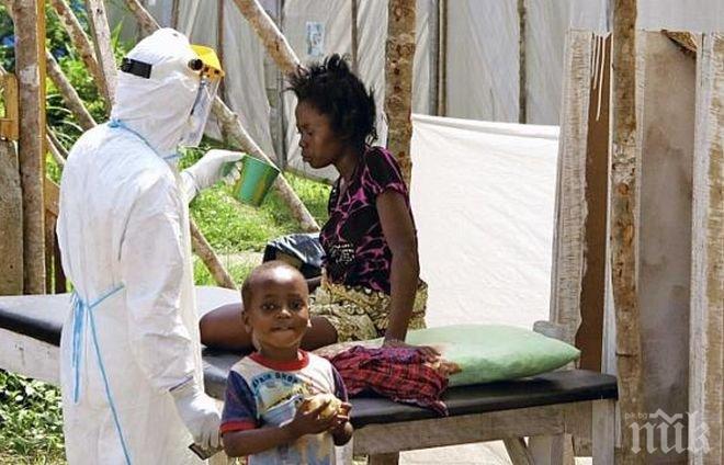 ООН: Епидемията от ебола може да остави гладни 1 милион души
