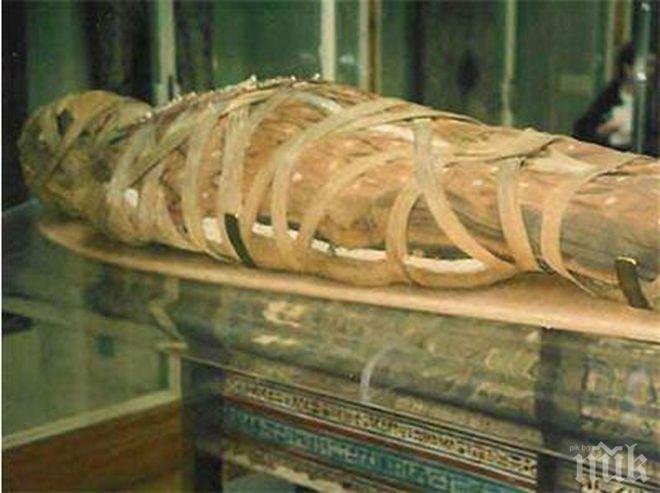 Откриха гробище в Египет с над 1 млн. мумии