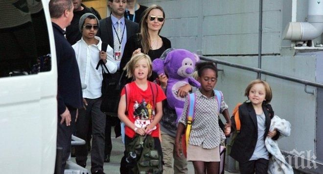 Кибер експерти бдят над децата на Брад и Анджелина