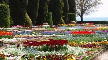 гражданите балчик влизат без пари ботаническата градина