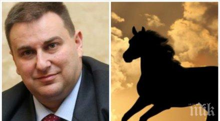 шаш евродепутат герб откупи измъчван кон дари англичанин село аврен