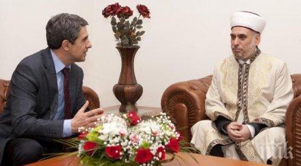 кроят феса плевнелиев