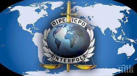 интерпол българия задържани трима души заподозрени тероризъм испания