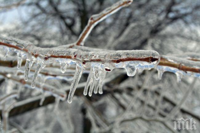 Студ скова северните части на Индия