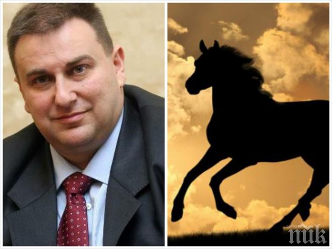 Шаш! Евродепутат от ГЕРБ откупи измъчван кон и го дари на англичанин в село Аврен 