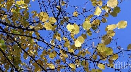 нимх топло било кърджали