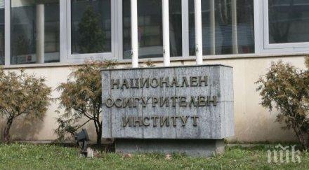 кого изберем крадливата държава фонд пирамида