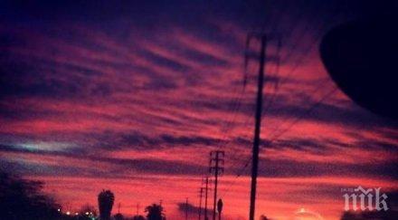 гришо лудна фотографията всеки ден можете уловите момент