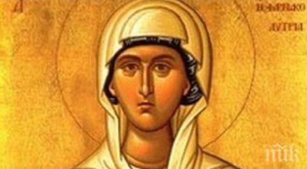 анастасия жените работят